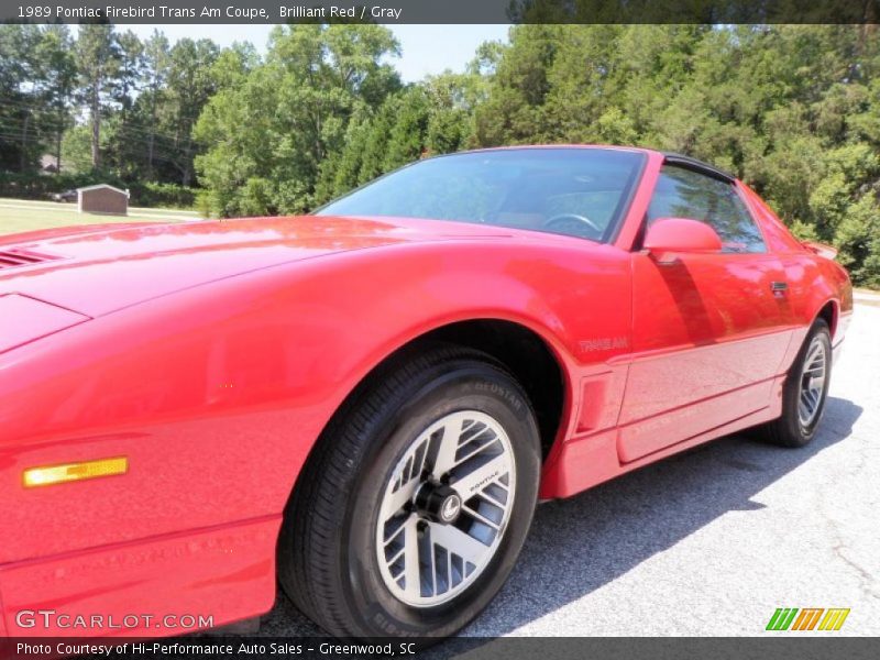 Brilliant Red / Gray 1989 Pontiac Firebird Trans Am Coupe