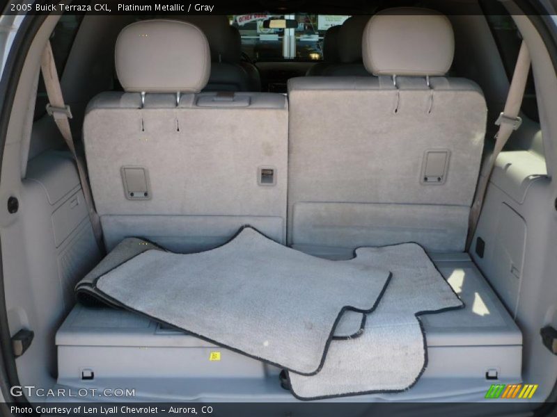 Platinum Metallic / Gray 2005 Buick Terraza CXL
