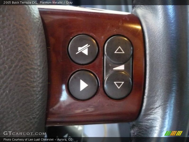 Platinum Metallic / Gray 2005 Buick Terraza CXL