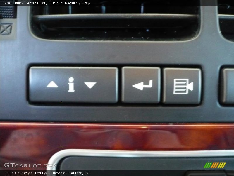 Platinum Metallic / Gray 2005 Buick Terraza CXL