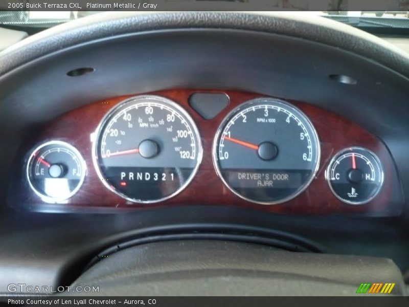 Platinum Metallic / Gray 2005 Buick Terraza CXL