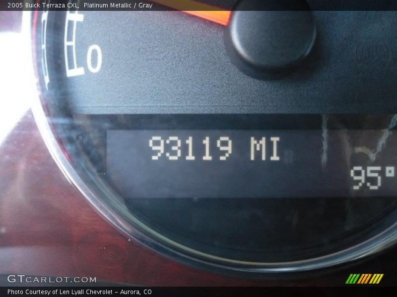 Platinum Metallic / Gray 2005 Buick Terraza CXL