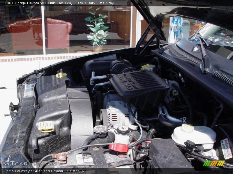 Black / Dark Slate Gray 2004 Dodge Dakota SXT Club Cab 4x4
