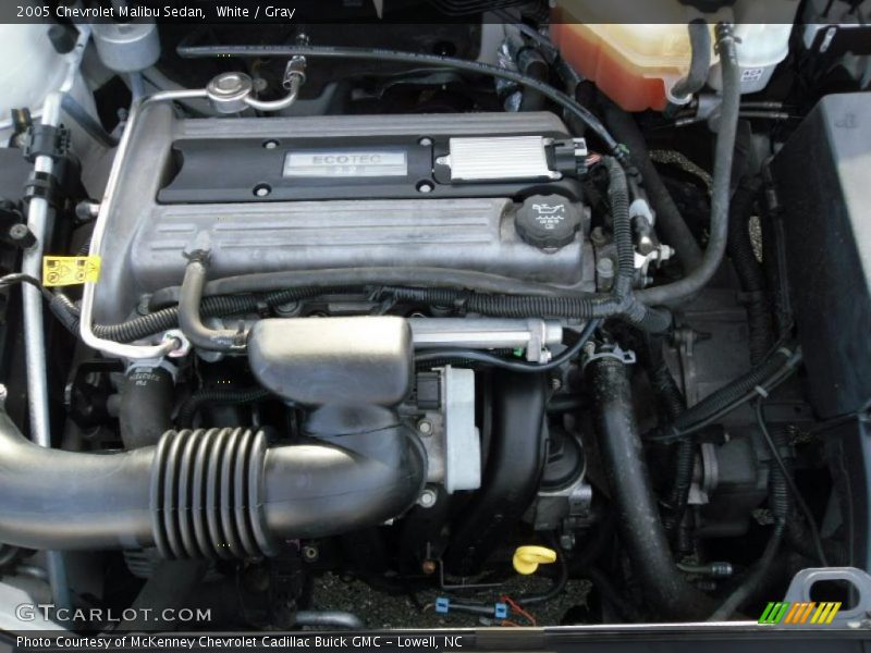 White / Gray 2005 Chevrolet Malibu Sedan