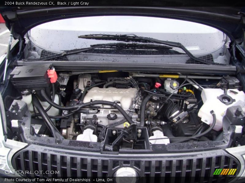 Black / Light Gray 2004 Buick Rendezvous CX