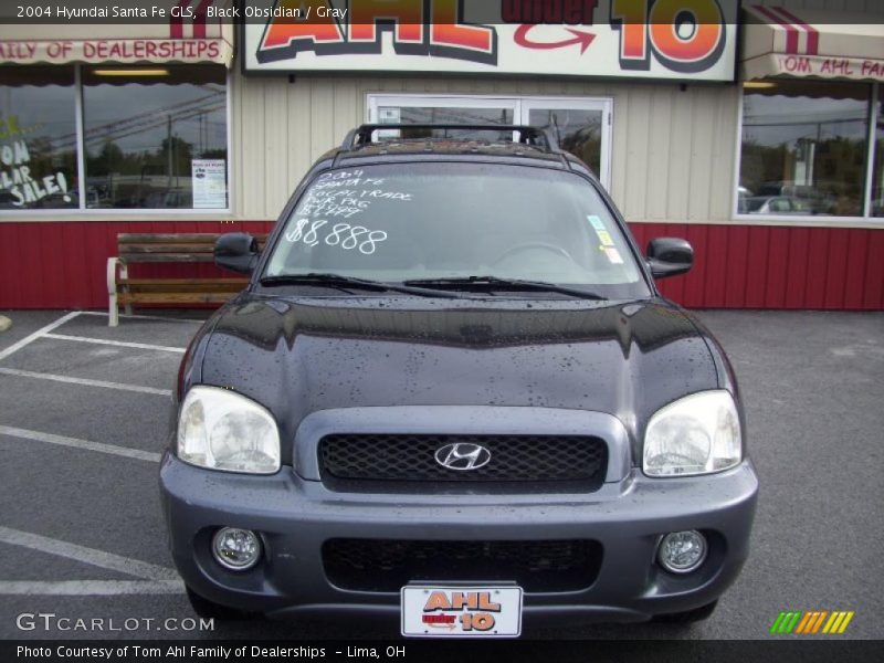 Black Obsidian / Gray 2004 Hyundai Santa Fe GLS