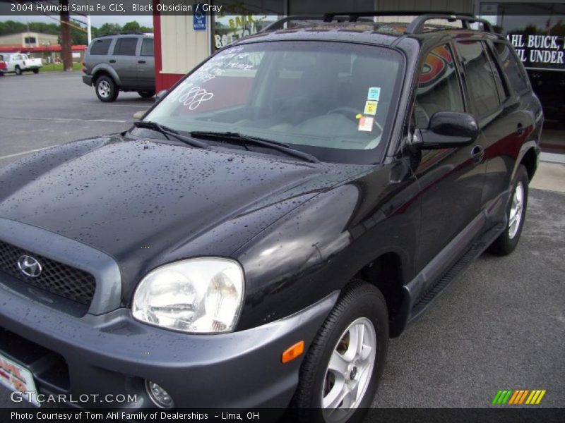 Black Obsidian / Gray 2004 Hyundai Santa Fe GLS