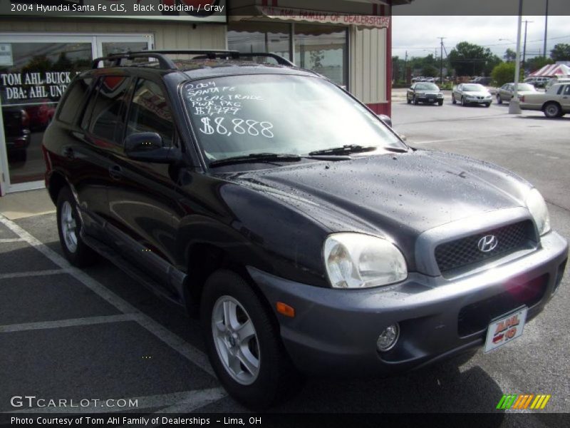 Black Obsidian / Gray 2004 Hyundai Santa Fe GLS