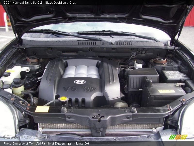 Black Obsidian / Gray 2004 Hyundai Santa Fe GLS