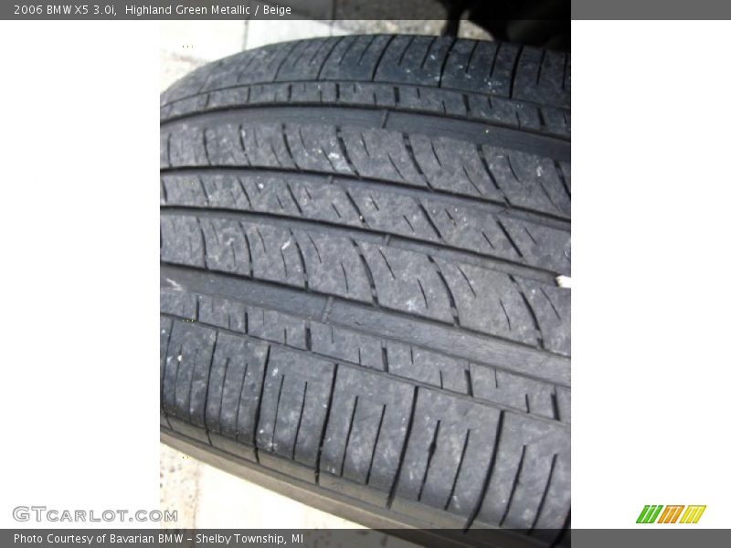 Highland Green Metallic / Beige 2006 BMW X5 3.0i