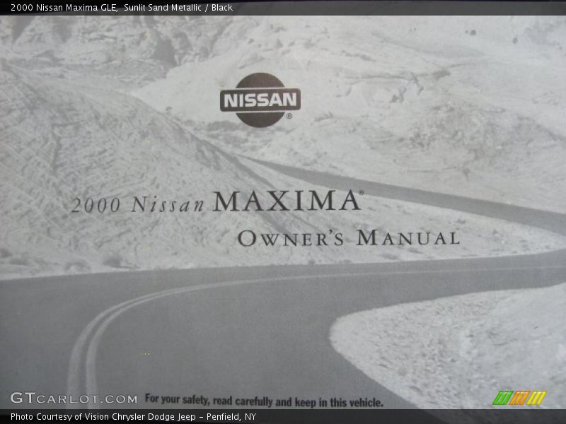 Sunlit Sand Metallic / Black 2000 Nissan Maxima GLE