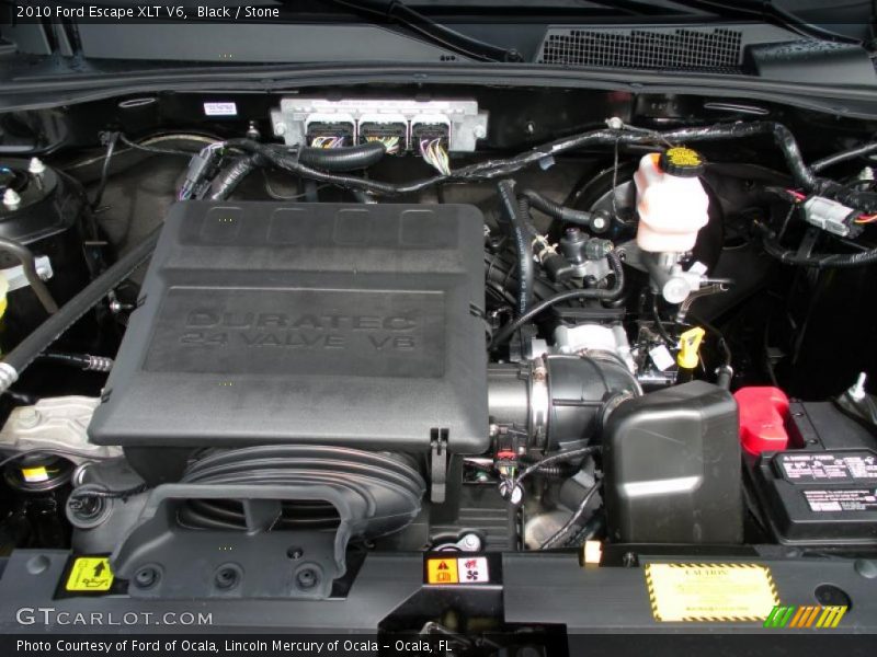 Black / Stone 2010 Ford Escape XLT V6