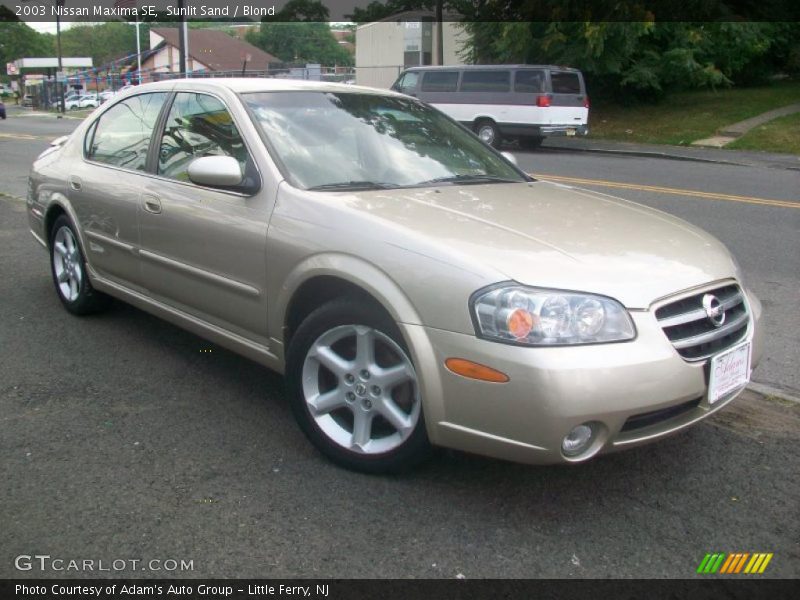 Sunlit Sand / Blond 2003 Nissan Maxima SE