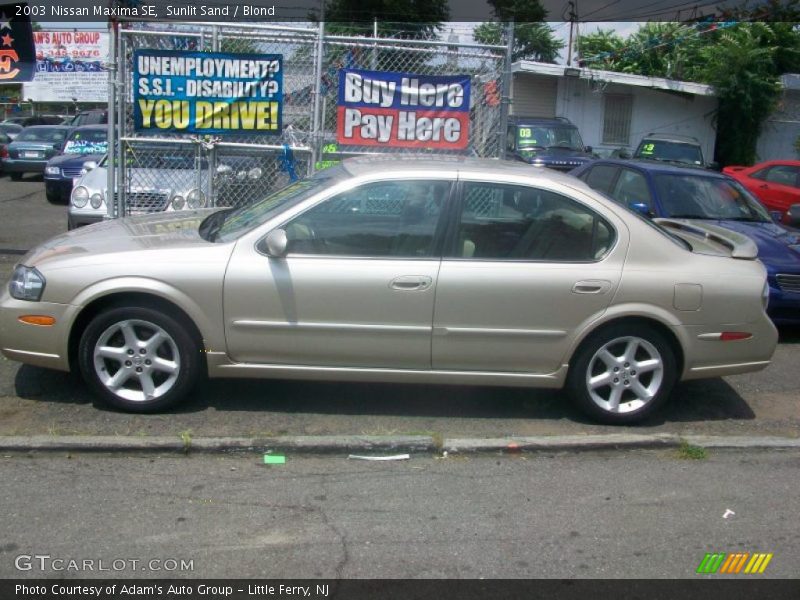 Sunlit Sand / Blond 2003 Nissan Maxima SE