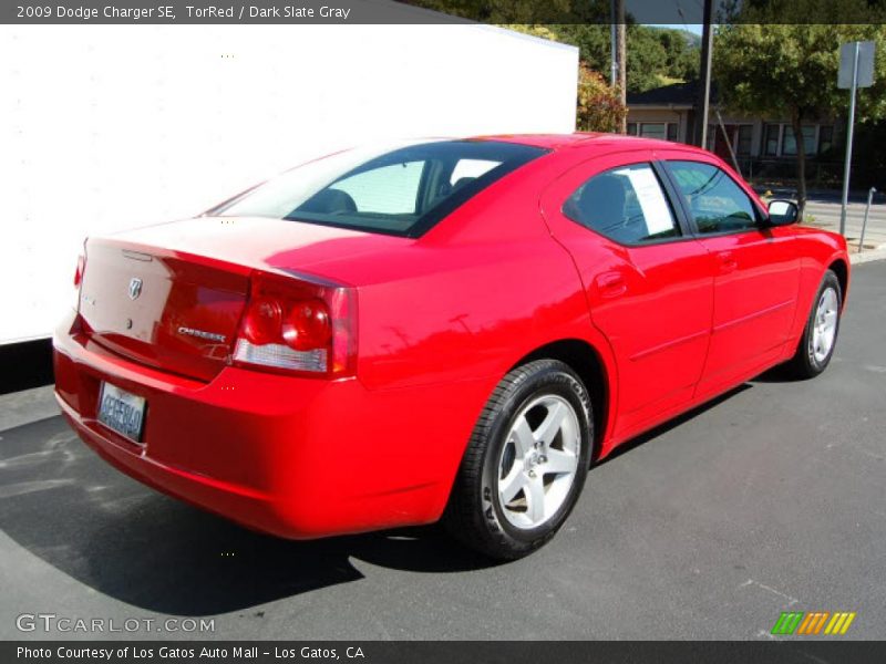 TorRed / Dark Slate Gray 2009 Dodge Charger SE