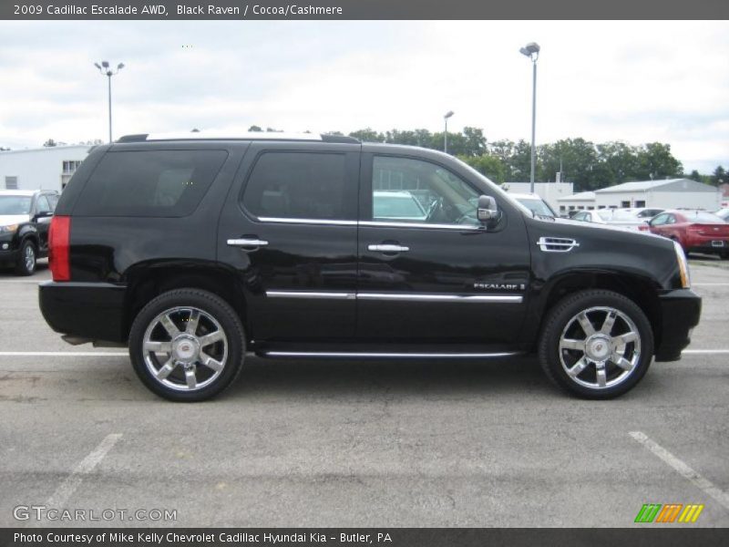 Black Raven / Cocoa/Cashmere 2009 Cadillac Escalade AWD