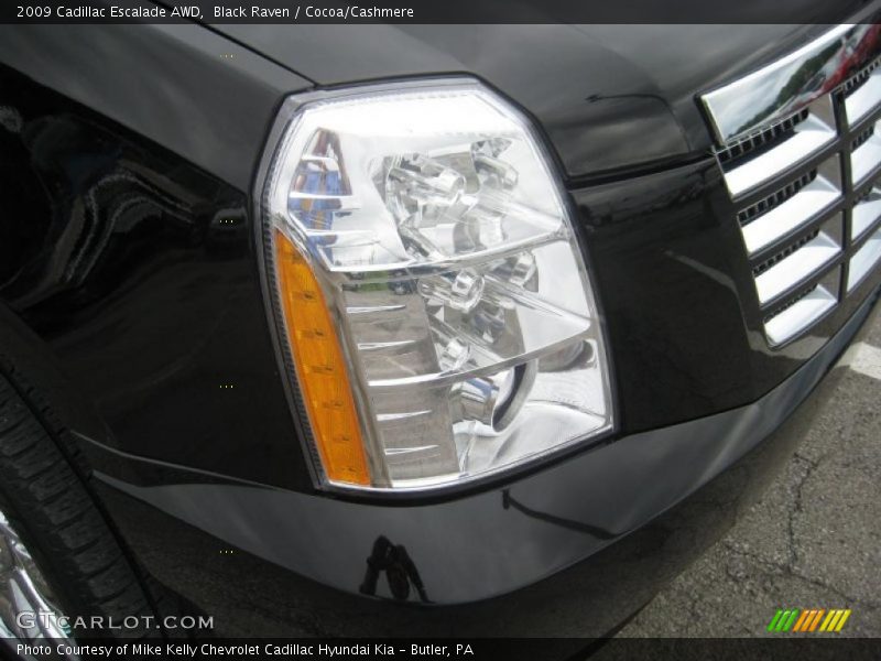 Black Raven / Cocoa/Cashmere 2009 Cadillac Escalade AWD