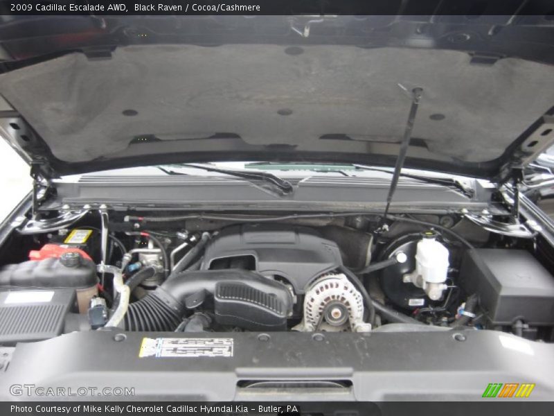 Black Raven / Cocoa/Cashmere 2009 Cadillac Escalade AWD