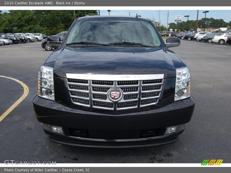 Black Ice / Ebony 2010 Cadillac Escalade AWD