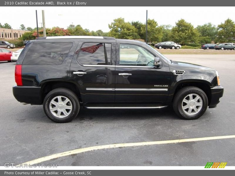 Black Ice / Ebony 2010 Cadillac Escalade AWD