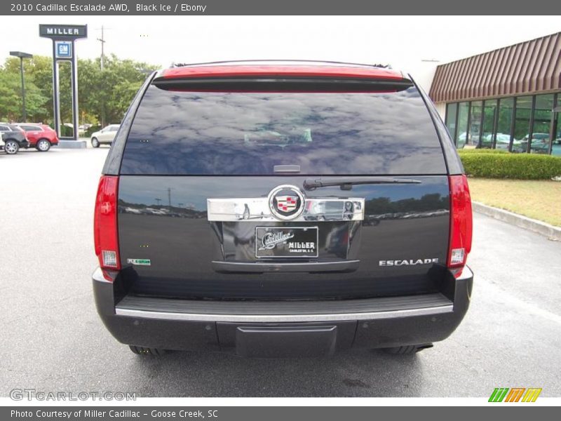 Black Ice / Ebony 2010 Cadillac Escalade AWD