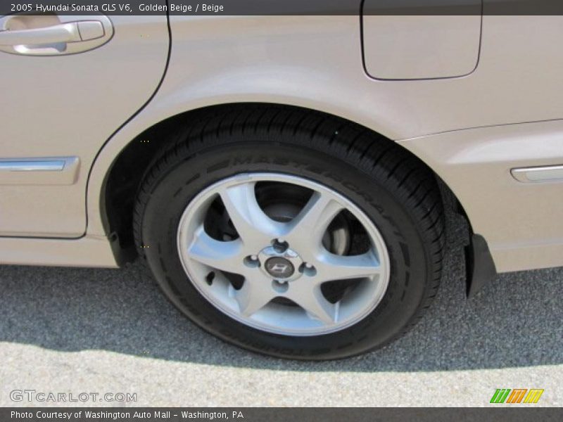 Golden Beige / Beige 2005 Hyundai Sonata GLS V6