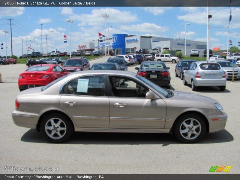 Golden Beige / Beige 2005 Hyundai Sonata GLS V6