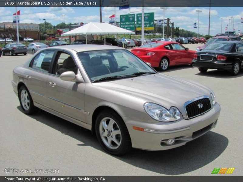 Golden Beige / Beige 2005 Hyundai Sonata GLS V6