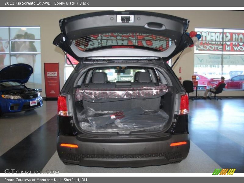Ebony Black / Black 2011 Kia Sorento EX AWD