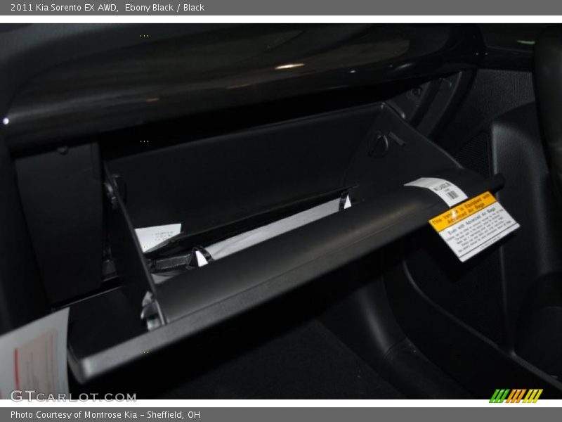 Ebony Black / Black 2011 Kia Sorento EX AWD