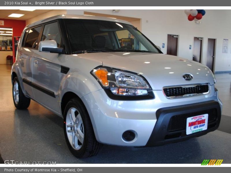 Bright Silver / Black Soul Logo Cloth 2010 Kia Soul +