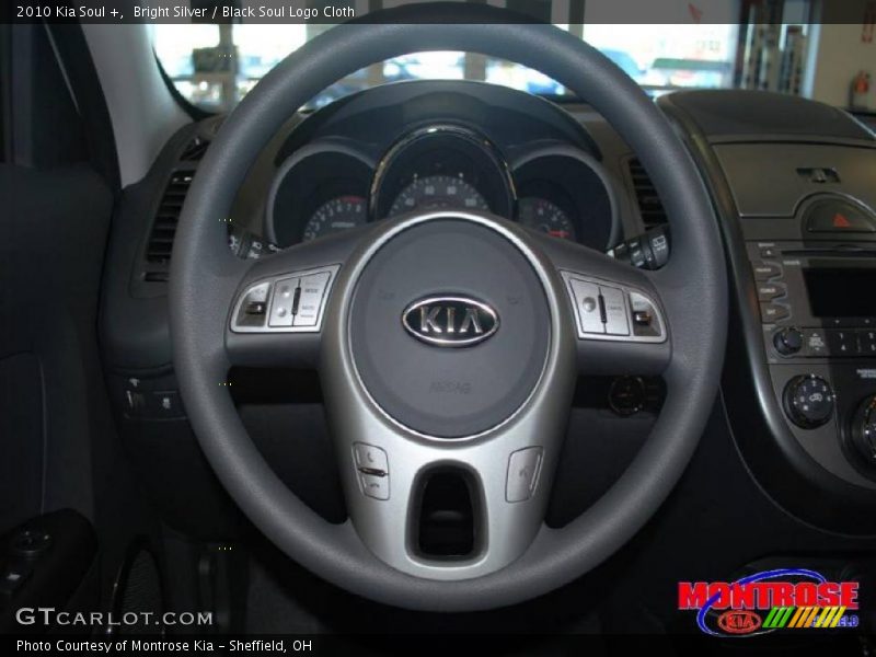 Bright Silver / Black Soul Logo Cloth 2010 Kia Soul +