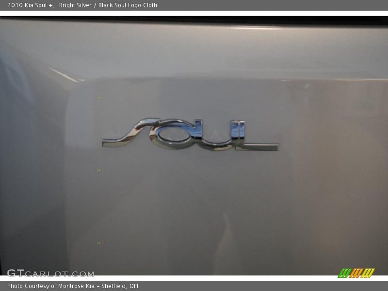 Bright Silver / Black Soul Logo Cloth 2010 Kia Soul +