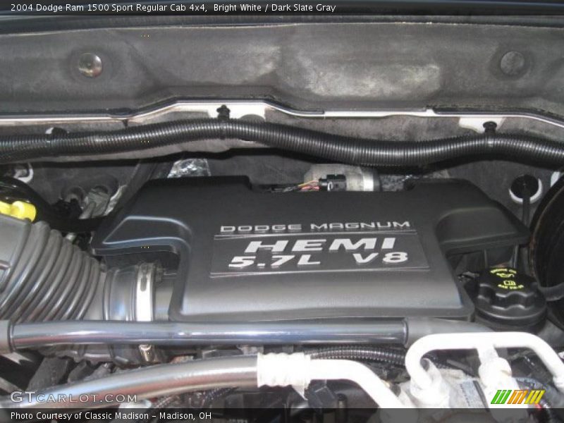 Bright White / Dark Slate Gray 2004 Dodge Ram 1500 Sport Regular Cab 4x4