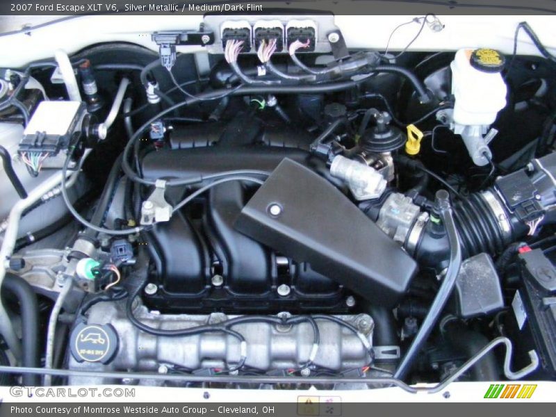 Silver Metallic / Medium/Dark Flint 2007 Ford Escape XLT V6