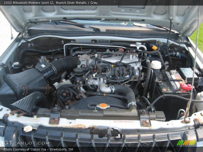 Munich Silver Metallic / Gray 2002 Mitsubishi Montero Sport LS