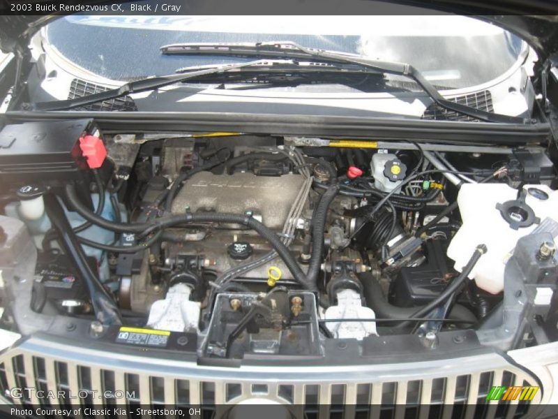Black / Gray 2003 Buick Rendezvous CX