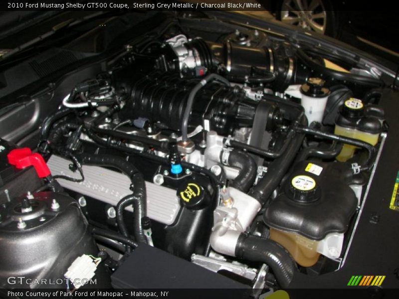 Sterling Grey Metallic / Charcoal Black/White 2010 Ford Mustang Shelby GT500 Coupe