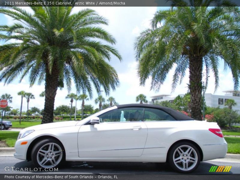 Arctic White / Almond/Mocha 2011 Mercedes-Benz E 350 Cabriolet