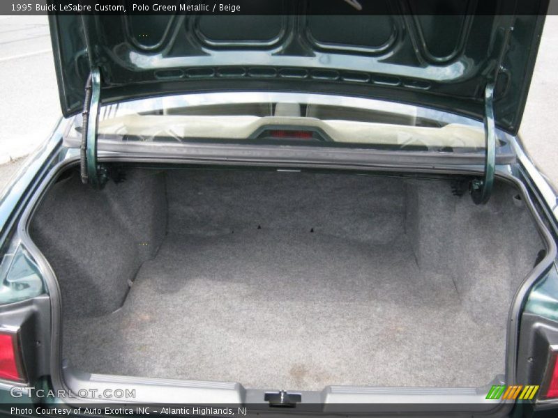 Polo Green Metallic / Beige 1995 Buick LeSabre Custom