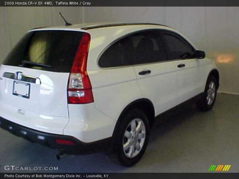 Taffeta White / Gray 2009 Honda CR-V EX 4WD