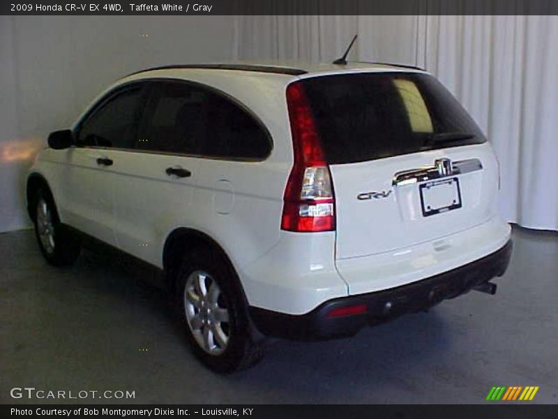 Taffeta White / Gray 2009 Honda CR-V EX 4WD