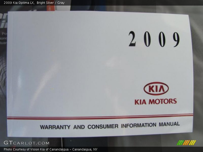 Bright Silver / Gray 2009 Kia Optima LX