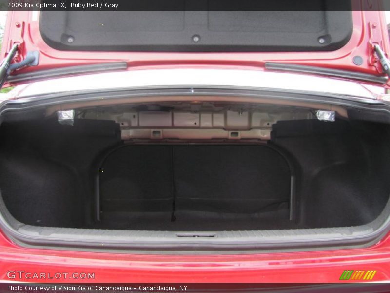 Ruby Red / Gray 2009 Kia Optima LX