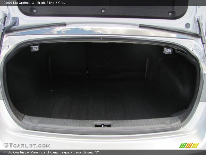 Bright Silver / Gray 2009 Kia Optima LX