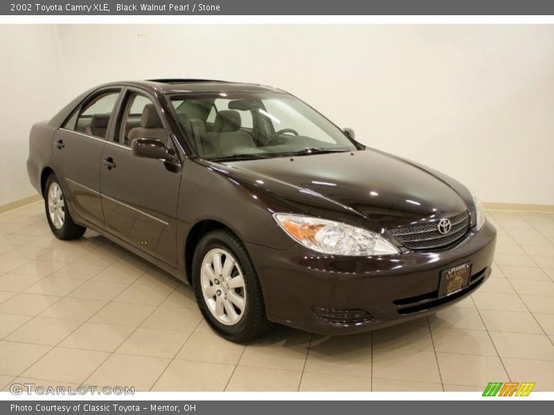 Black Walnut Pearl / Stone 2002 Toyota Camry XLE
