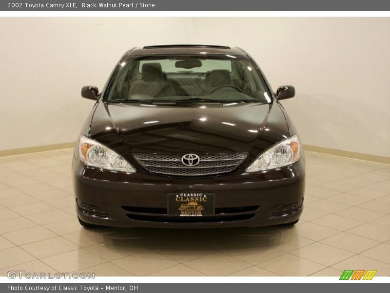 Black Walnut Pearl / Stone 2002 Toyota Camry XLE