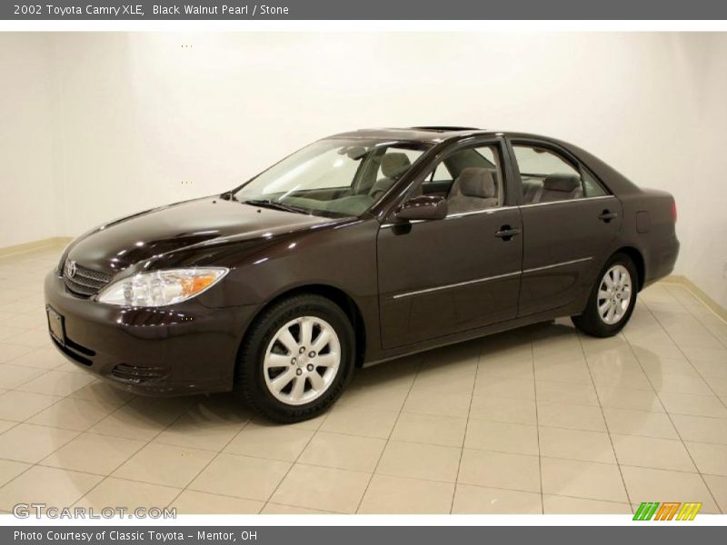 Black Walnut Pearl / Stone 2002 Toyota Camry XLE