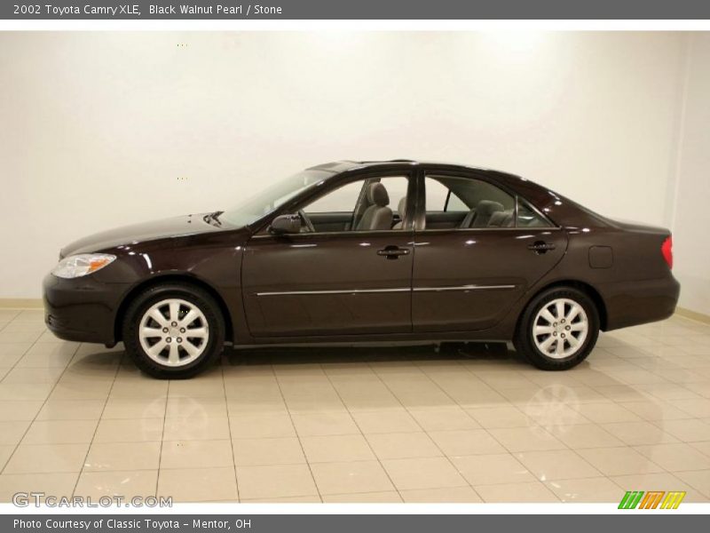Black Walnut Pearl / Stone 2002 Toyota Camry XLE