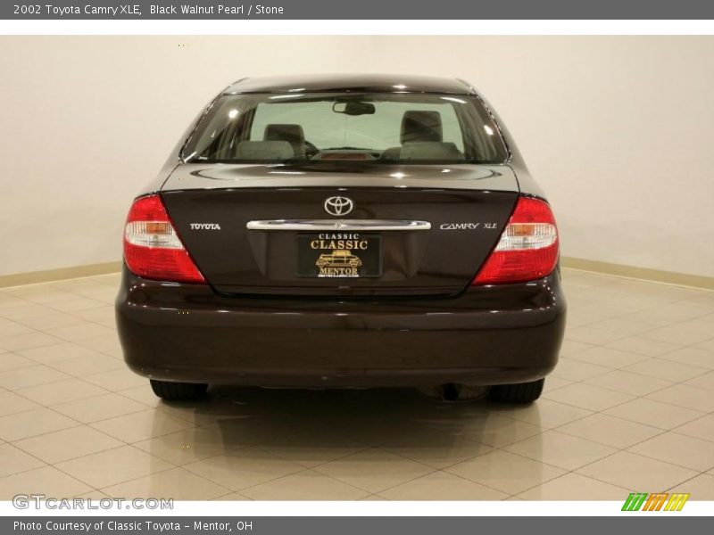 Black Walnut Pearl / Stone 2002 Toyota Camry XLE